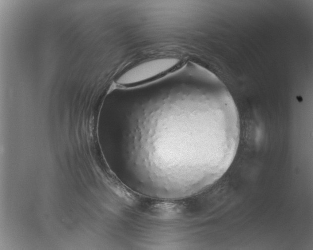 X0000077390326200610272019