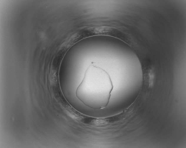 X0000077390327200610272019