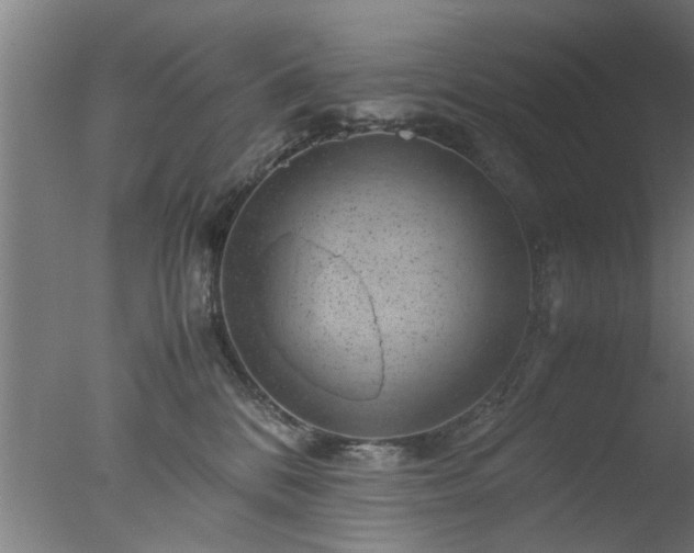 X0000077390328200610272019