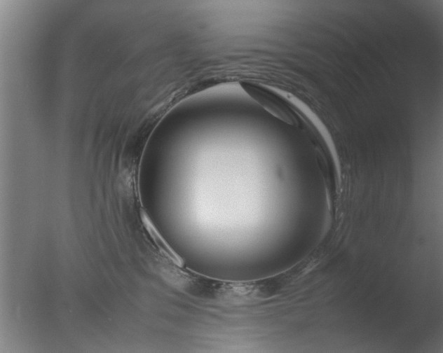 X0000077390329200610272019