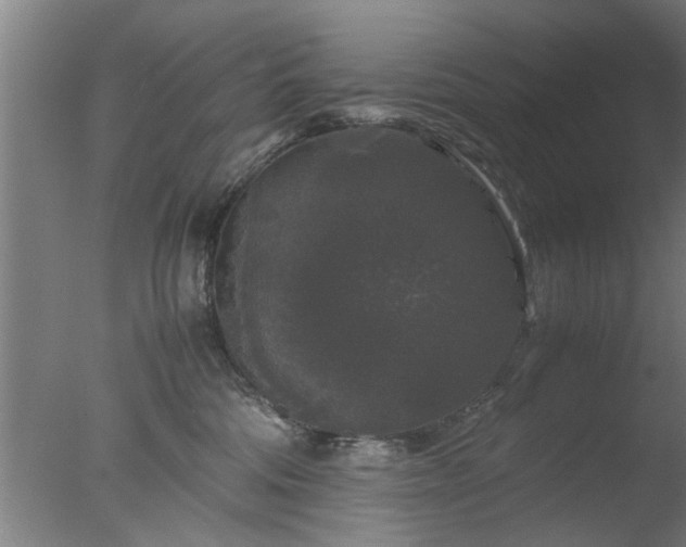 X0000077390330200610272019