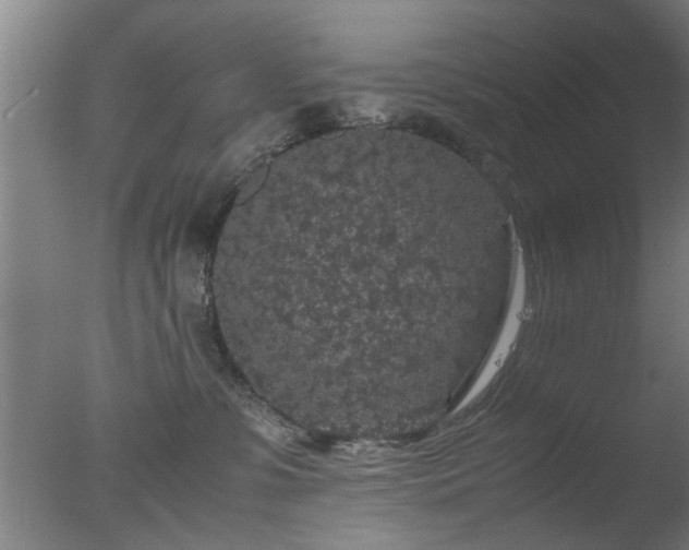 X0000077390331200610272019