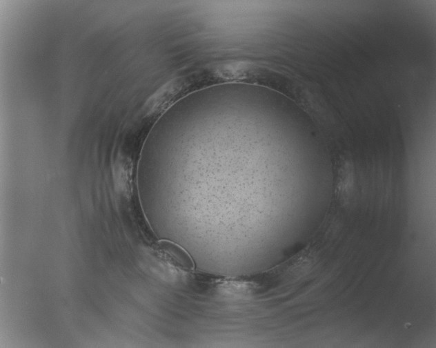 X0000077390332200610272019