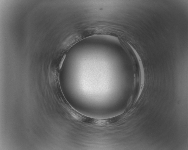 X0000077390333200610272019