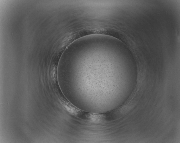 X0000077390336200610272019