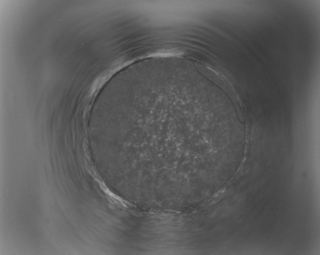 X0000077390337200610272018