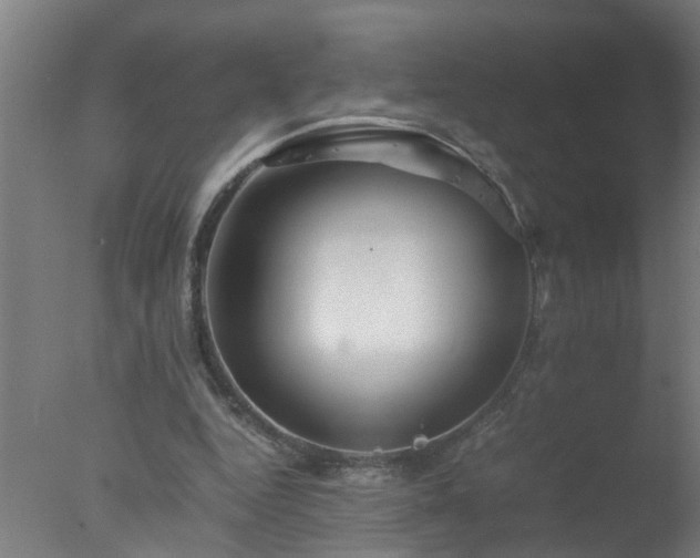 X0000077390344200610272018