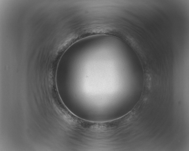 X0000077390354200610272019