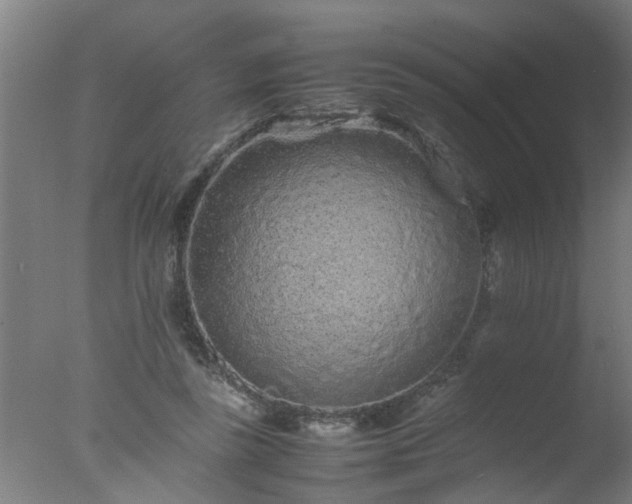 X0000077390355200610272019