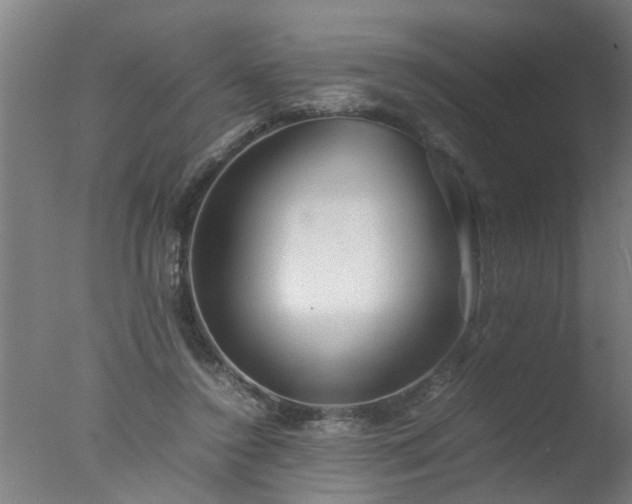 X0000077390356200610272019