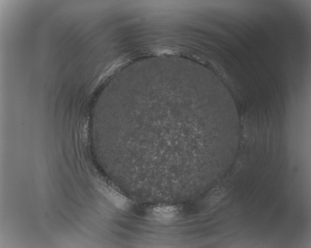 X0000077390357200610272019