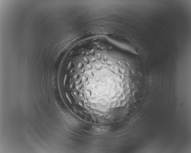 X0000077390359200610272019