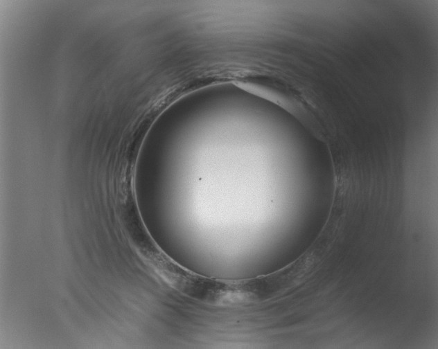 X0000077390360200610272019