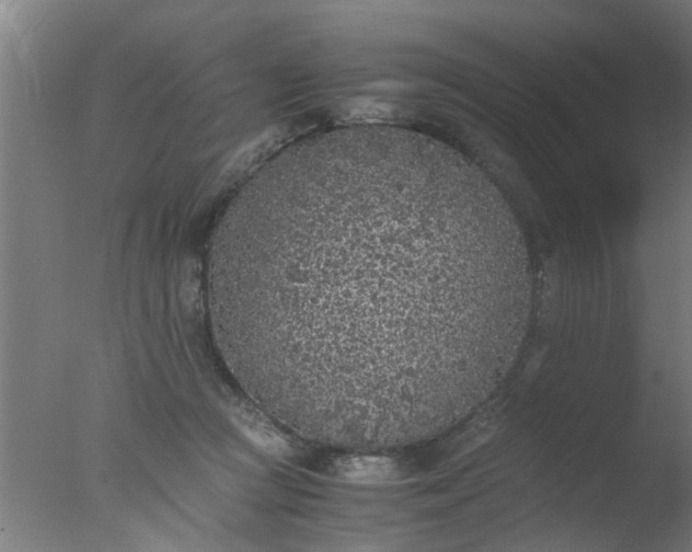 X0000077390361200610272019