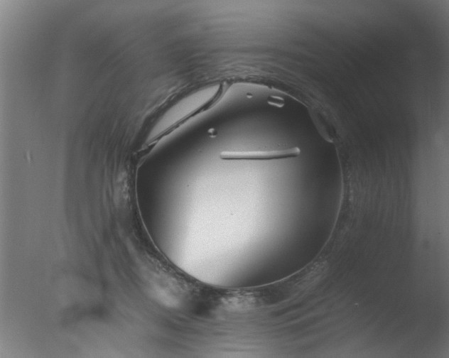 X0000077390362200610272019