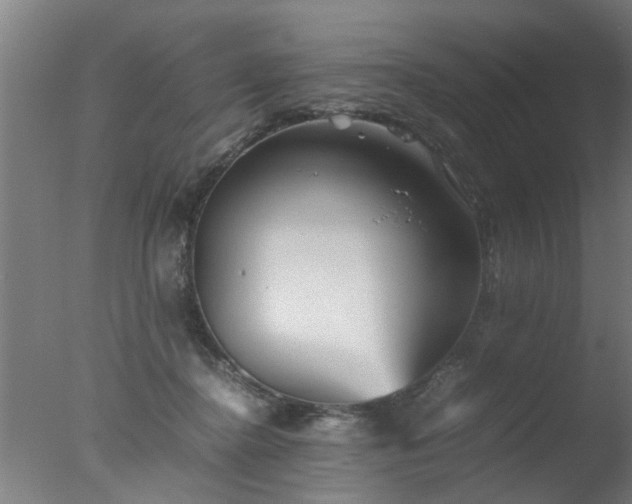 X0000077390364200610272019