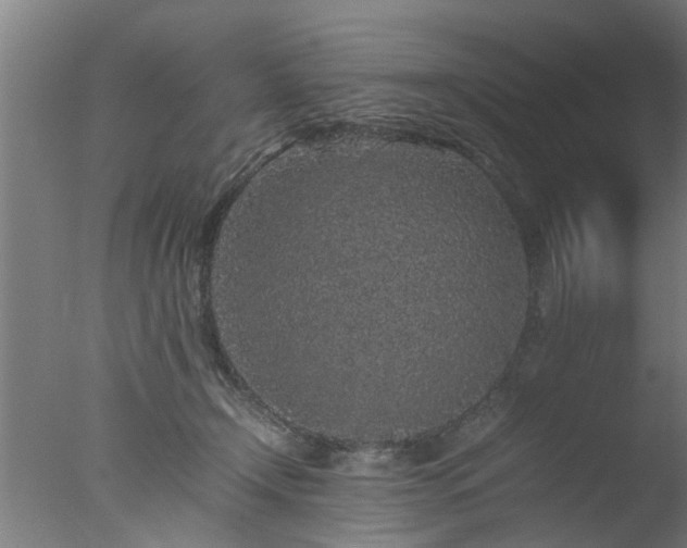 X0000077390366200610272019