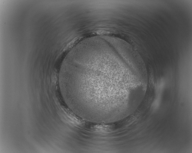 X0000077390367200610272019