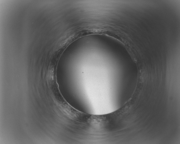 X0000077390368200610272019