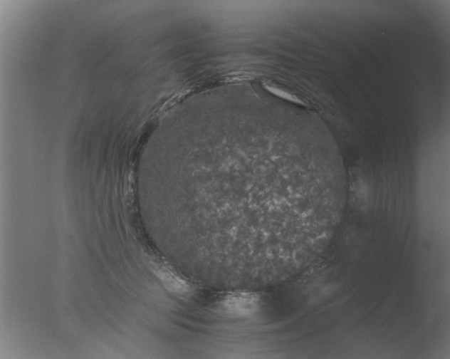 X0000077390369200610272019