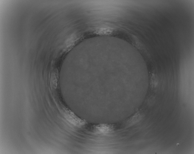 X0000077390370200610272019