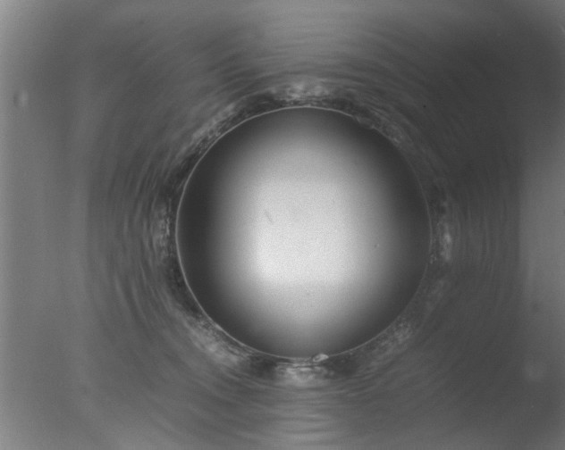 X0000077390372200610272019