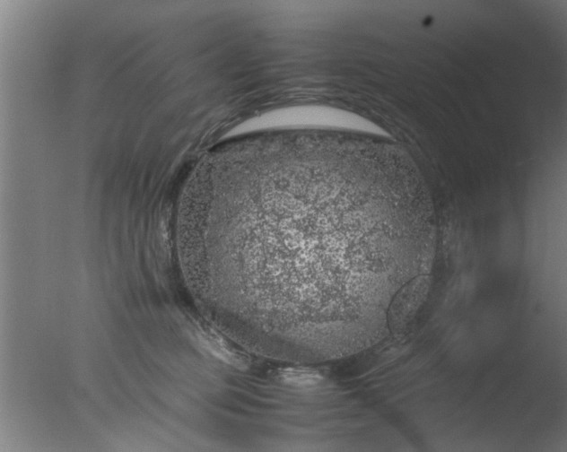 X0000077390373200610272019