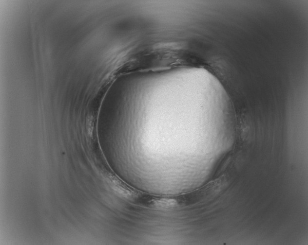 X0000077390374200610272019