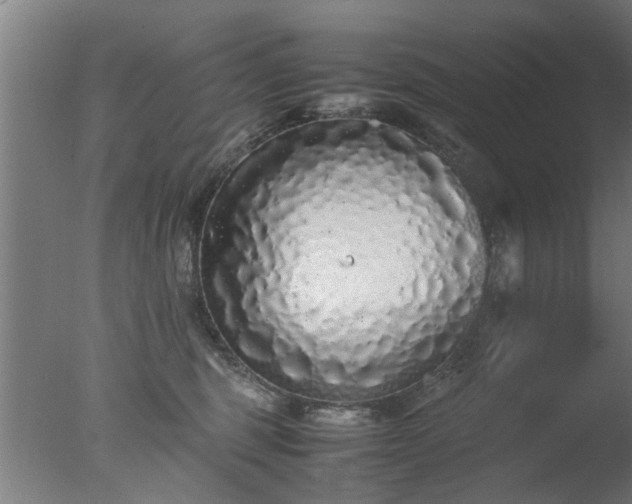 X0000077390375200610272019