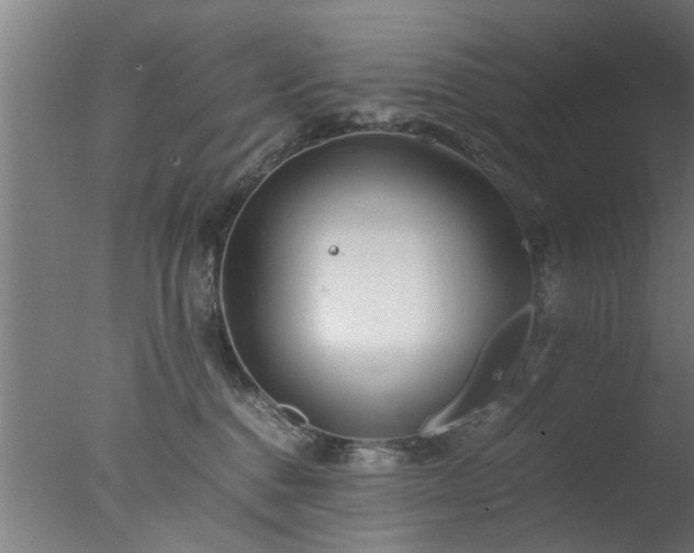 X0000077390376200610272019