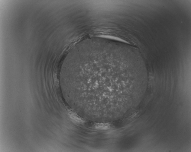 X0000077390377200610272019