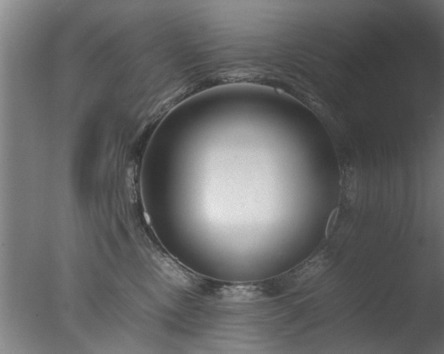 X0000077390378200610272019