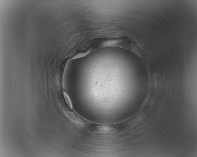 X0000077390380200610272019