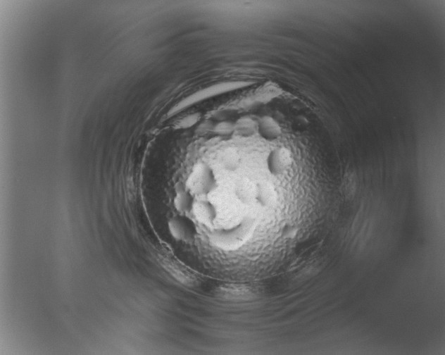 X0000077390381200610272019