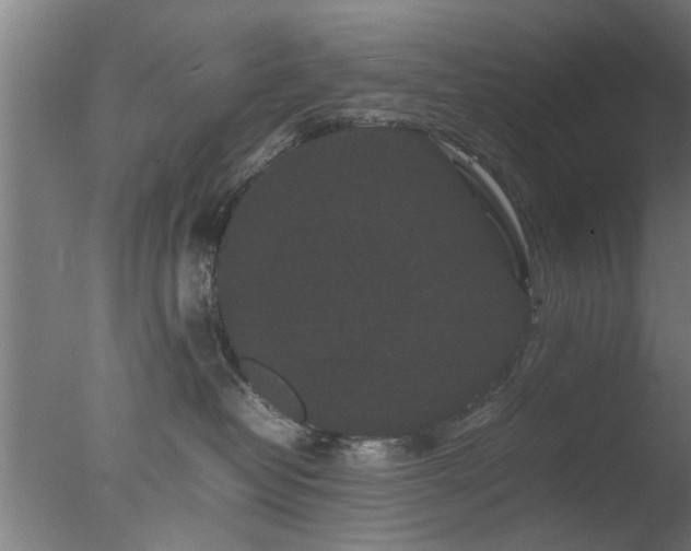 X0000077390382200610272019