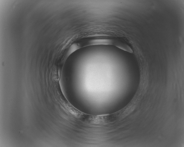 X0000077390384200610272019