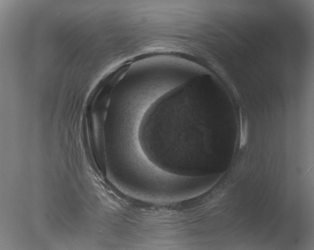 X0000077390387200610272018