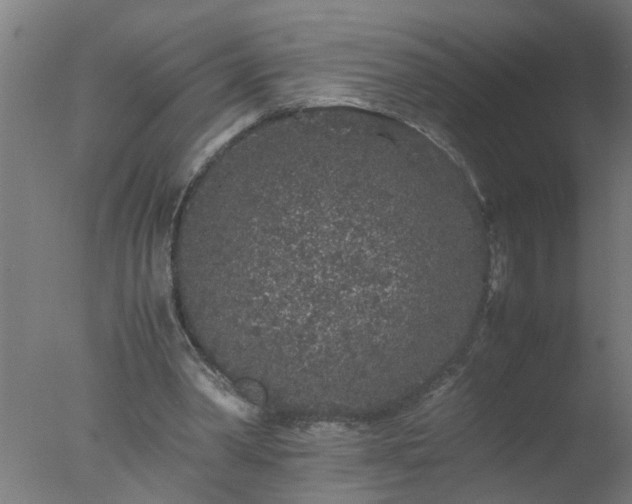 X0000077390390200610272018