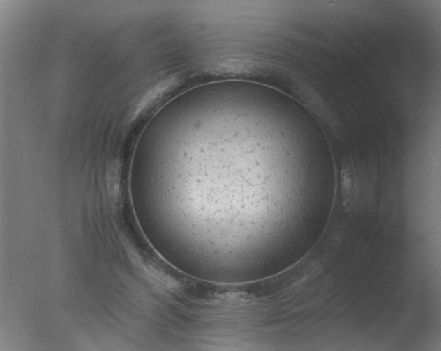 X0000077390396200610272018