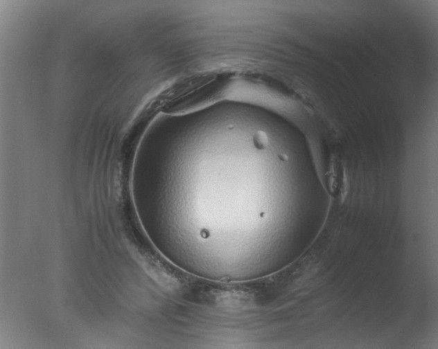 X0000077390400200610272018