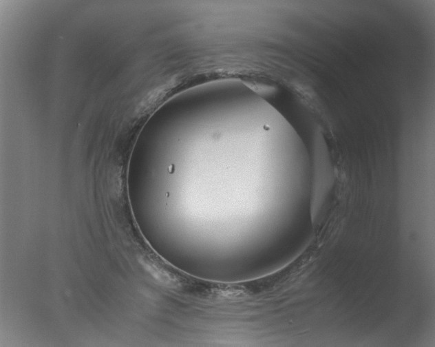 X0000077390401200610272018