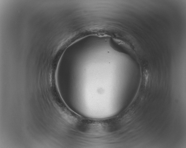 X0000077390404200610272018