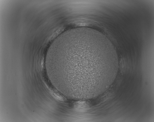 X0000077390406200610272018