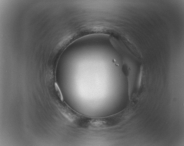 X0000077390407200610272018