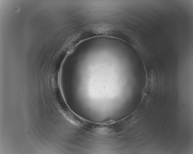 X0000077390408200610272018