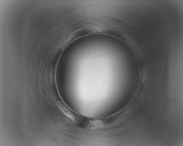 X0000077390409200610272018