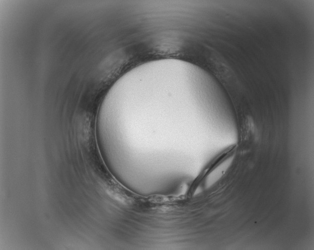 X0000077390412200610272018