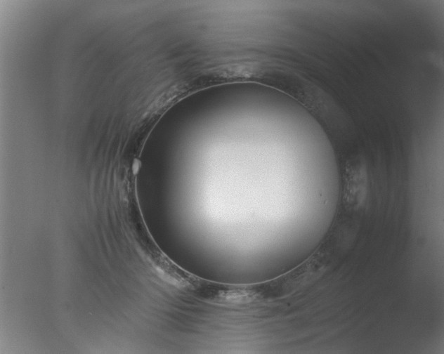 X0000077390414200610272018