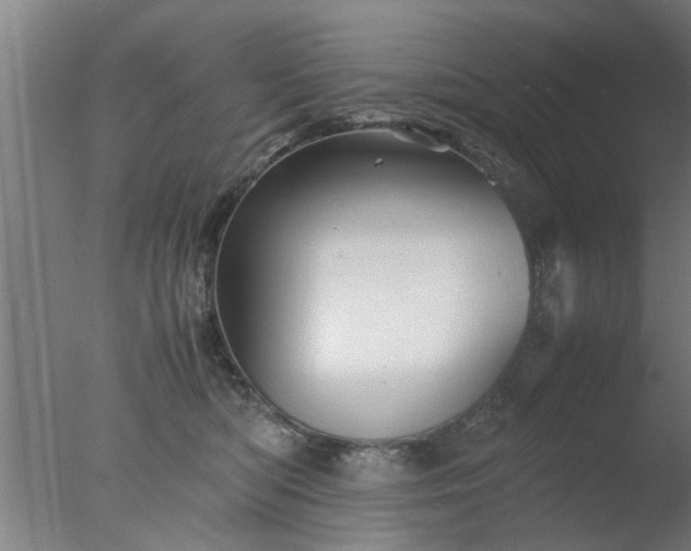 X0000077390422200610272018