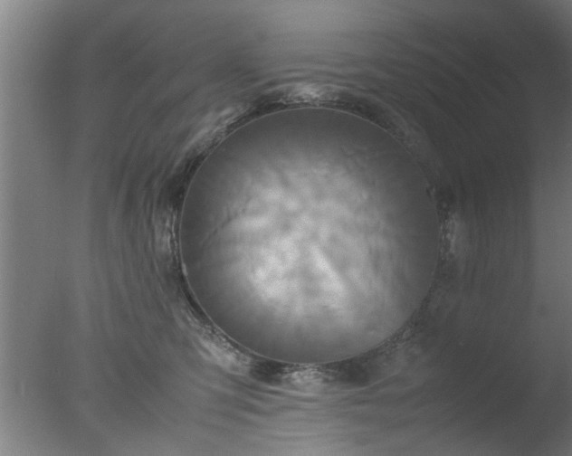 X0000077390423200610272018